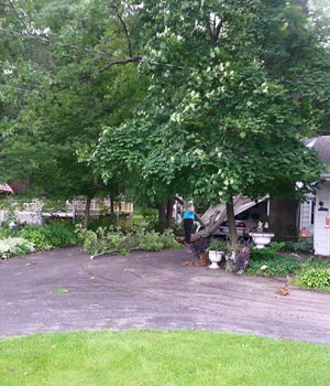 Landscape Repair