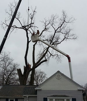 Tree Pruning